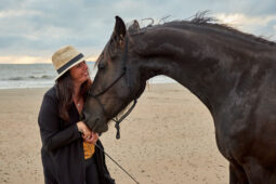 Animal, Cheval, Shooting, Sport, Equitation