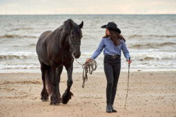 Animal, Cheval, Shooting, Sport, Equitation