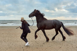 Animal, Cheval, Shooting, Sport, Equitation