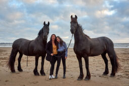 Animal, Cheval, Shooting, Sport, Equitation