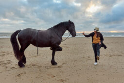 Animal, Cheval, Shooting, Sport, Equitation