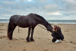 Animal, Cheval, Shooting, Sport, Equitation