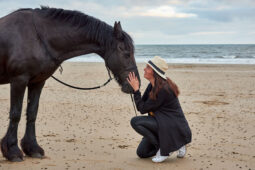 Animal, Cheval, Shooting, Sport, Equitation