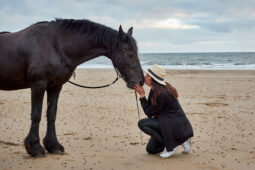 Animal, Cheval, Shooting, Sport, Equitation