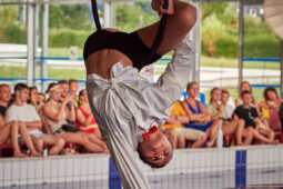 16, Les Z'Envolées, Spectacle