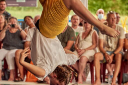 14, Les Z'Envolées, Spectacle