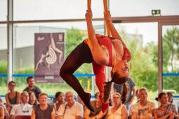 34, Les Z'Envolées, Spectacle
