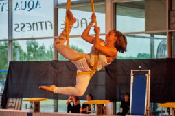 40, Les Z'Envolées, Spectacle