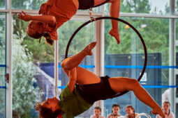 08, Les Z'Envolées, Spectacle