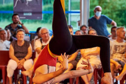 09, Les Z'Envolées, Spectacle