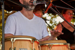 Pan Vaca, Concert