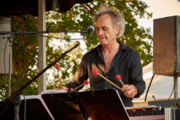 Pan Vaca, Concert