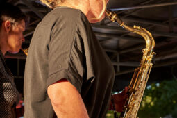 Pan Vaca, Concert