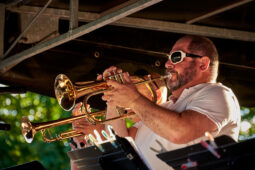 Pan Vaca, Concert