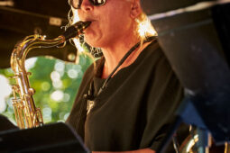 Pan Vaca, Concert