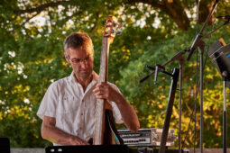Pan Vaca, Concert