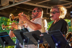 Pan Vaca, Concert
