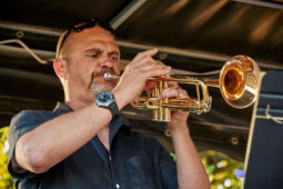 Pan Vaca, Concert