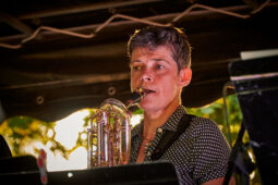 Pan Vaca, Concert