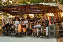 Pan Vaca, Concert