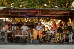 Pan Vaca, Concert