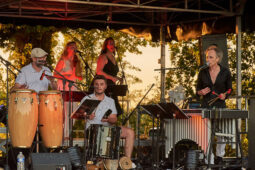 Pan Vaca, Concert