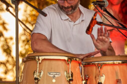 Pan Vaca, Concert