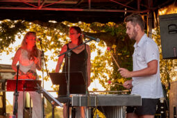 Pan Vaca, Concert