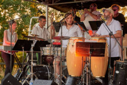 Pan Vaca, Concert