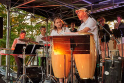 Pan Vaca, Concert