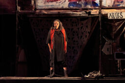Cie Lucamoros, Spectacle