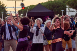 Cie Progéniture, Concert, Public