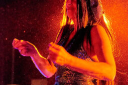 Cie Progéniture, Concert