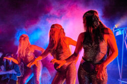 Cie Progéniture, Concert