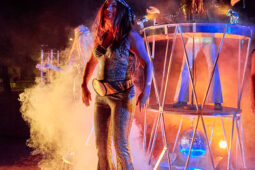 Cie Progéniture, Concert