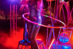 Cie Progéniture, Concert