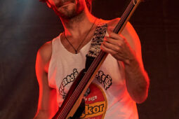 Concert, Clay and Friends