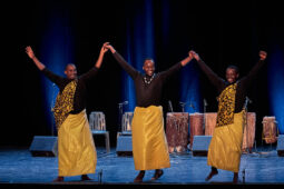 Ensemble Inyamibwa, Folklore, Rwanda, Spectacle