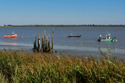 Tourisme, Bateau