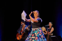 Folklore, Chili, Spectacle, Université de Tarapaca