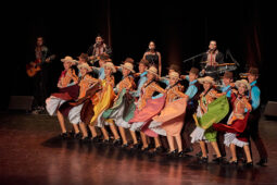 Folklore, Chili, Spectacle, Université de Tarapaca