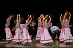 Folklore, Chili, Spectacle, Université de Tarapaca