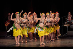 Folklore, Chili, Spectacle, Université de Tarapaca