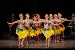 Folklore, Chili, Spectacle, Université de Tarapaca