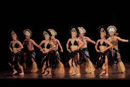 Folklore, Chili, Spectacle, Université de Tarapaca
