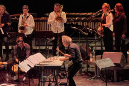Pan Vaca, Concert