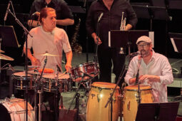 Pan Vaca, Concert