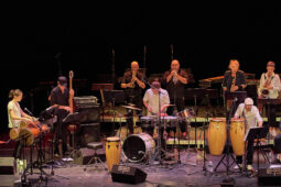 Pan Vaca, Concert