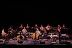 Pan Vaca, Concert
