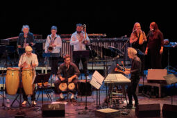 Pan Vaca, Concert